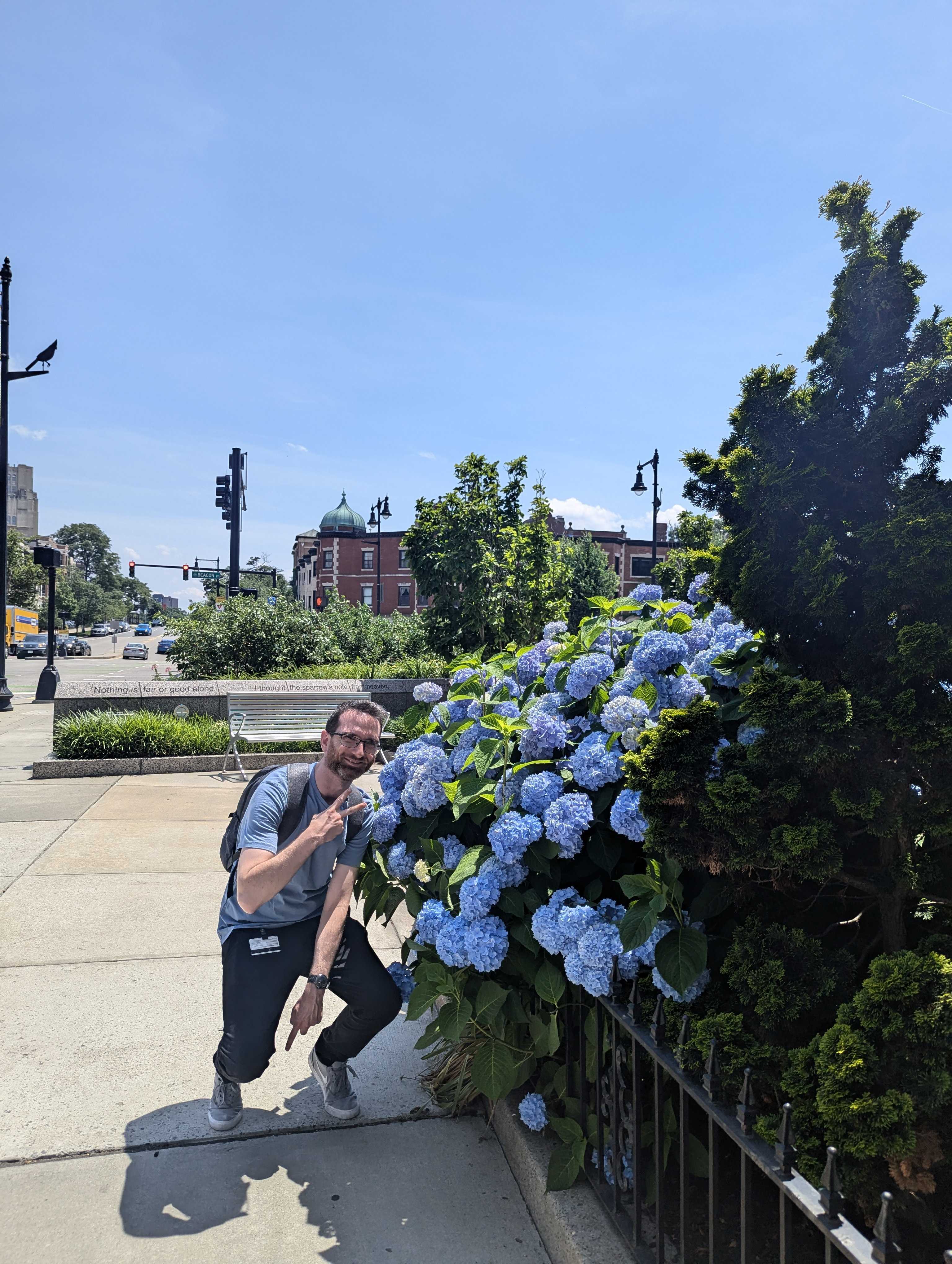 Jeff wore the same colored shirt as the Hydrangeas Jeff wore the same colored shirt as the Hydrangeas